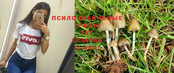 тгк Михайлов