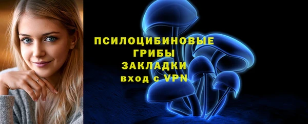 тгк Михайлов
