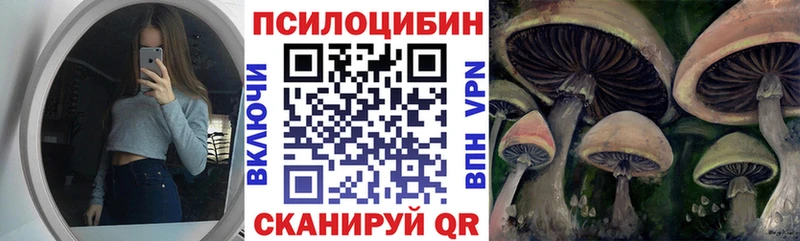 Купить Лаишево Псилоцибиновые грибы GOLDEN TEACHER